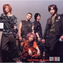 더(The) 스타일난다 이미지