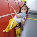 올림픽석사태권도 이미지