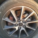 국제라지에타 이미지