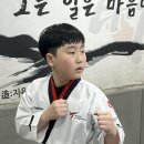 대신초등학교 네이버블로그