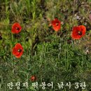 바람이 분다! - 만정지 이미지