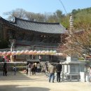 기룡농산물판매장 이미지