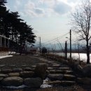 연어의추억 이미지