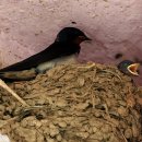 수산면행정복지센터 이미지