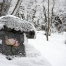 낙화유수(落花流水) 이미지