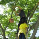 성수초등학교 이미지