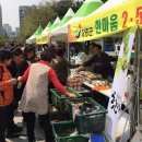 한마음2 Daum카페