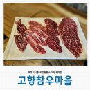 고향마을 | [경기 시흥] 정왕동 고기집 소고기 맛집 &#39;고향참우마을&#39; 방문후기