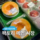 일본 하코다테 맛집 : 하코다테팩토리메인샵 시장, 현지인 가는 시장 해산물 메론 기념품 추천 후기