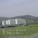 세창농장 이미지