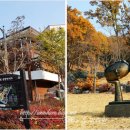 양촌 유아숲체험원 이미지