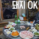 오케이택시(주) | 경주 돼지오케이 :: 노포 생고기 찐맛집 예약 후기