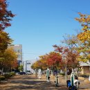 마도근린공원 이미지