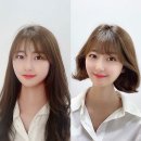 헤어다솜