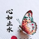 홍예약국 네이버블로그