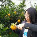 혜린농장 이미지