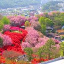 완산-124 이미지