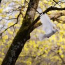 賴及萬方 이미지