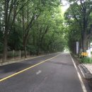 하오개로 이미지