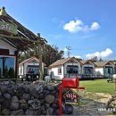 밀레니엄빌 | 애견(강아지)동반 제주도 여행 총정리-펜션편(숙소)