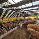 한율농장 이미지