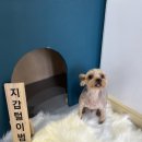 환해지개 이미지