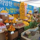 군민회관 체육관(체육경기) Daum카페