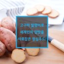 정심푸드 이미지