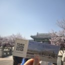 매화정 | 서울 구경거리, 창경궁 3,4월 꽃피는 시기 야간개장 입장료 등 후기