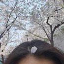 오페라보러화요 <헨젤과 그레텔> | 상반기_1편