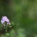 대둔산수락호수펜션 이미지