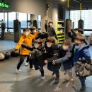 ATP Boxing 이미지