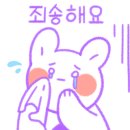 다올투어