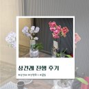 [상견례 후기] 준비부터 식당 선택까지, 실전 팁 정리