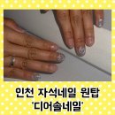 디어솔네일