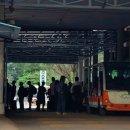 미화 베트남쌀국수 네이버블로그