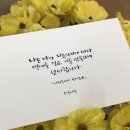 마켓토실 네이버블로그