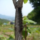 효원농장 이미지