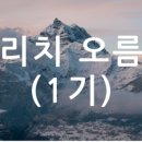서여사네 이미지
