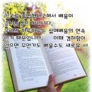 엄지척홈케어 이미지