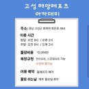 다이브11 | 김해프리다이빙 프리덤다이브 원데이 체험 교육 후기