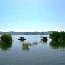 느린호수길 이팝나무길 이미지