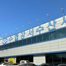 [서울] 겨울 제철 방어 포장 추천 강서수산시장 항구수산