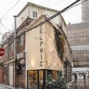 예스 팜 이미지