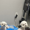 봉명 컴퍼니 이미지