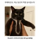 바로고침안마원 | 행복했던 날들이었다🍅