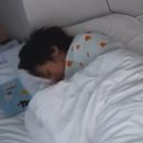 (유)평화교통 | 🇫🇷🇫🇷 4월 파리는 낭만+디즈니랜드는 동심 | 두마리 토끼를 잡은 후기🐰