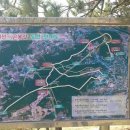 작곡재 우측 티스토리