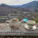 도심길12 | 하동 가볼만한곳 도심다원 녹차밭 카페 캐빈 예약 후기
