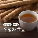 우엉